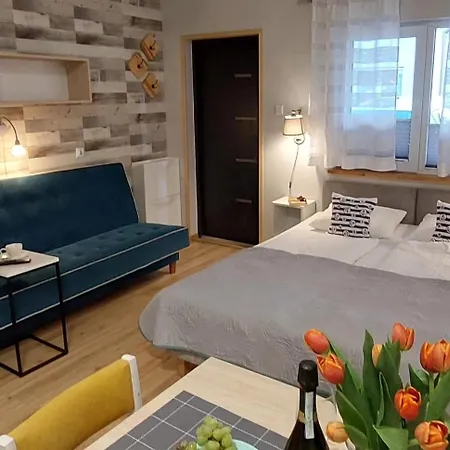 Apartamenty I Mieszkania Wakacyjne Chalupy Exterior photo